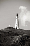 lll0142_bw
