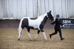 SBM_5335