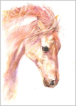 HORSE Fine art print 622