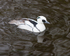 20140419-3K8A0388