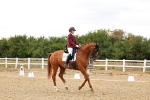 SBM_007673
