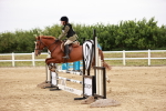 SBM_008950
