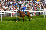 270523-Race 7-Shining Blue-1000