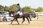 SBM_002523