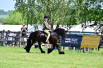 SBM_13871