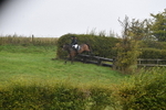 WJ5_7101