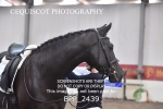 BPP_2439
