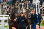 161125-Race 1-Gaelic Pride-1118