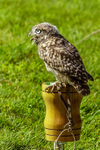 0628 IMG_6617