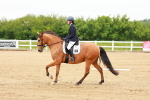SBM_004912