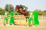 SBM_002205