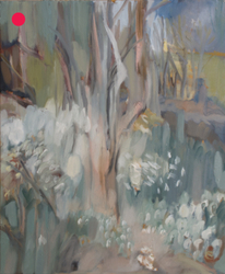 Japanese Cherry in March