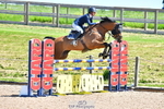 Cls 3 Foxhunter portfolio