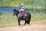 WJ7_7525