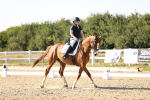 SBM_007519