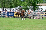 SBM_07941