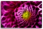 1557 Dahlia
