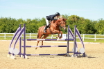 SBM_002674