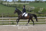 BPP_6175