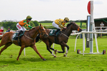 130524-Race 5-Sherdil-0606