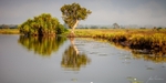 Early Morning Reflections