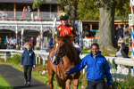 141023-Race 3-Montassib-1073