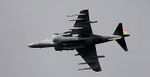 HARRIER 05