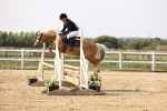 SBM_002965