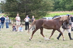 WJ6_6688