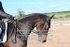 BPP_8956