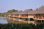 VIET_0339