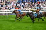 080925-Race 4-Zain Blue-7623
