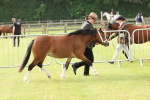 SBM_00446