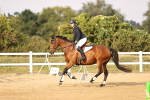 SBM_04067
