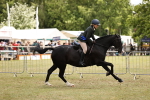 SBM_14812