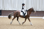 SBM_001021