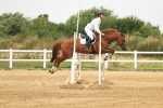 SBM_002381