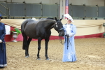 Class 103 - IH Costume portfolio