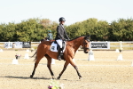 SBM_016969