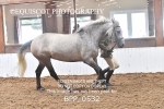 BPP_0532