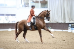SBM_011404
