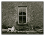 Dougal's Window