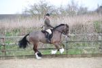 SBM_007208