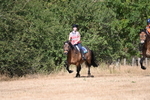 WJ6_8767