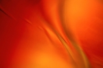 AD008