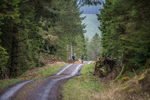 Kielder Ultra-377
