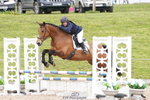 620-Cheryl.Chamberlain-KNOCKAHAW.MONTY portfolio