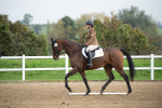 SBM_003536