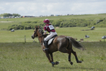 BVHT 140517  IXC -160