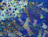 Kantha and Flowers